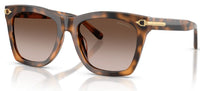 Ralph Lauren RL8235U 太陽眼鏡