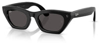 Gafas de sol Ray-Ban Meta Zena RW4015