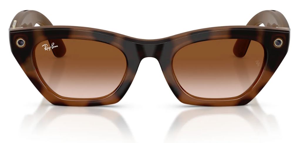 Gafas de sol Ray-Ban Meta Zena RW4015