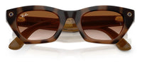 Gafas de sol Ray-Ban Meta Zena RW4015