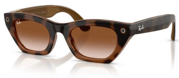 Gafas de sol Ray-Ban Meta Zena RW4015