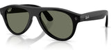 Ray-Ban Meta RW4016 sunglasses