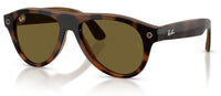 Ray-Ban Meta RW4016 sunglasses