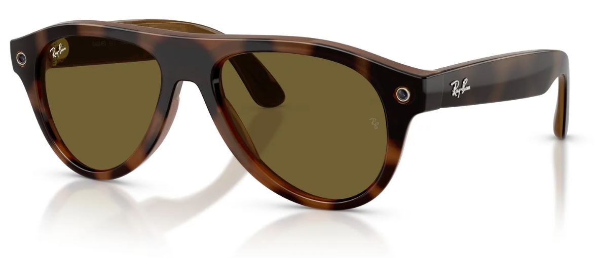 Ray-Ban Meta RW4016 sunglasses