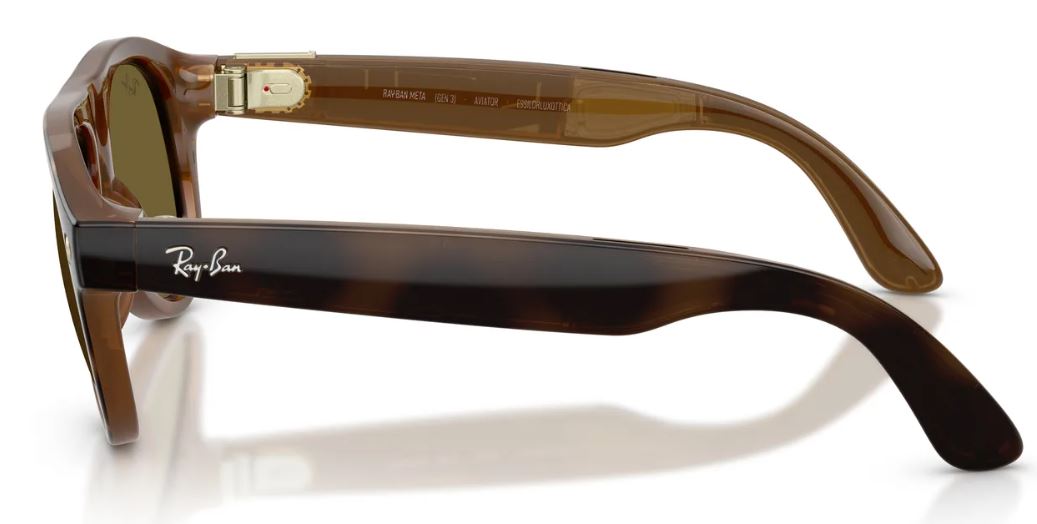 Ray-Ban Meta RW4016 sunglasses