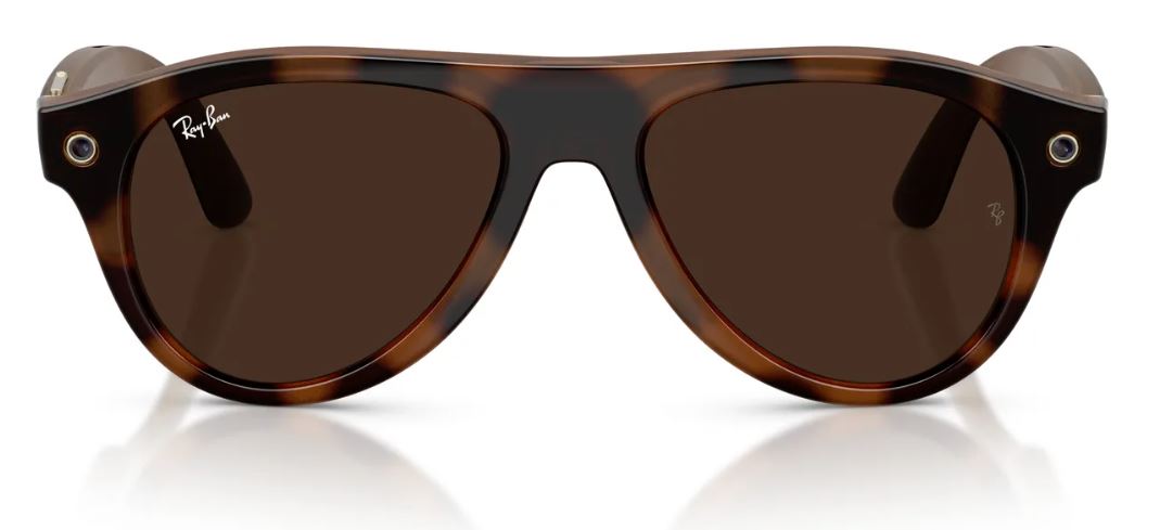 Ray-Ban Meta RW4016 sunglasses