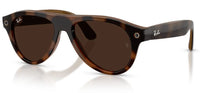 Ray-Ban Meta RW4016 sunglasses
