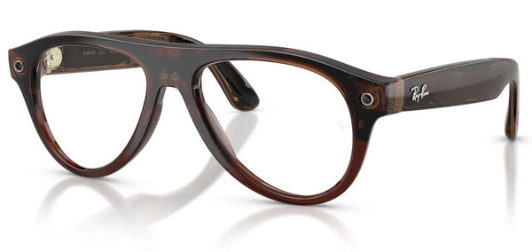 Ray-Ban Meta RW4016 sunglasses