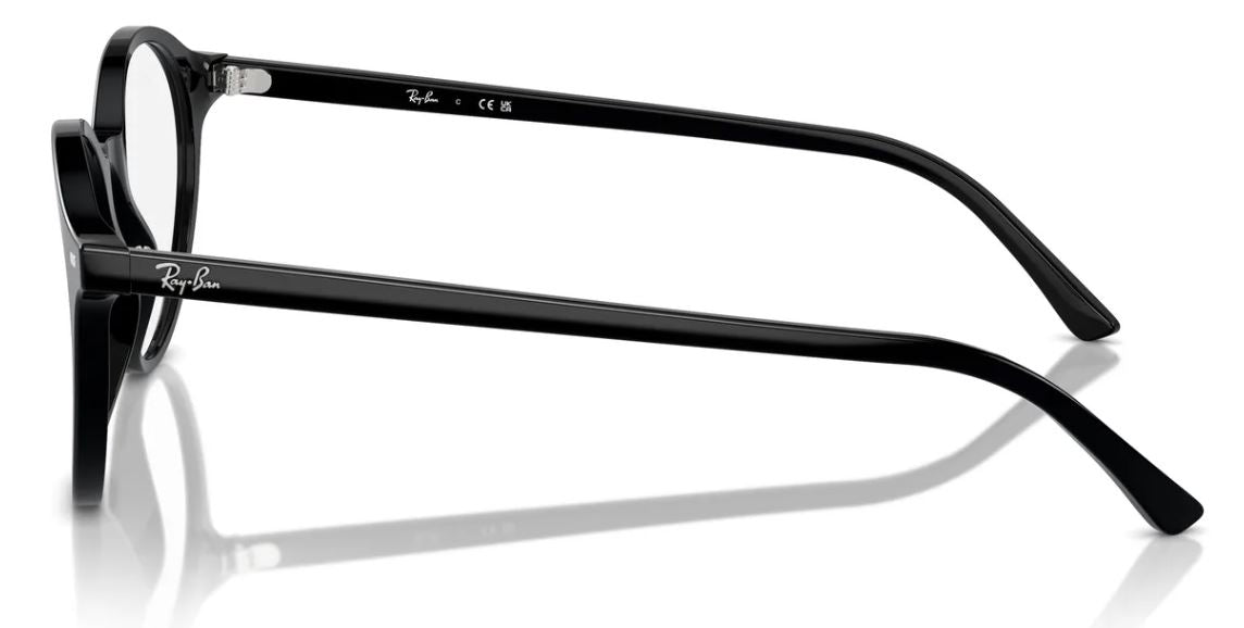 Ray-Ban RX5430 eyeglasses