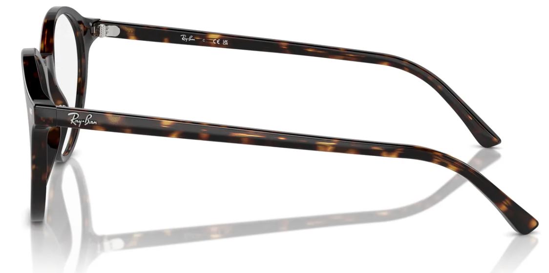Ray-Ban RX5430 eyeglasses