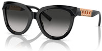 Óculos de Sol Tiffany & Co TF4215