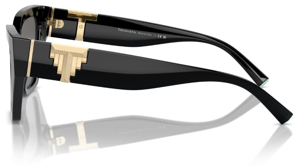 Sonnenbrille Tiffany & Co TF4218
