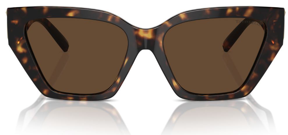 Sonnenbrille Tiffany & Co TF4218