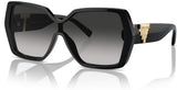Tiffany & Co TF4219 太阳镜