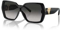 Tiffany & Co TF4219 太阳镜