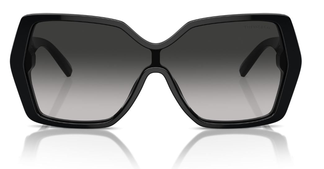 Tiffany & Co TF4219 太阳镜