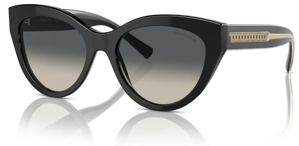 Сонцезахисні окуляри Tiffany & Co TF4220
