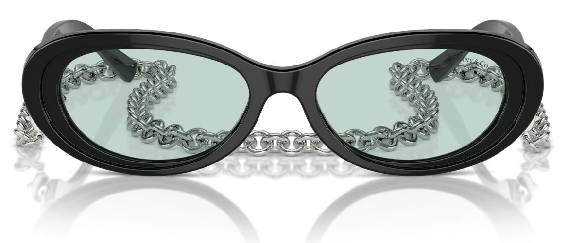 Sonnenbrille Tiffany & Co TF4221