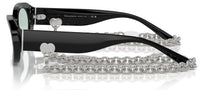 Sonnenbrille Tiffany & Co TF4221