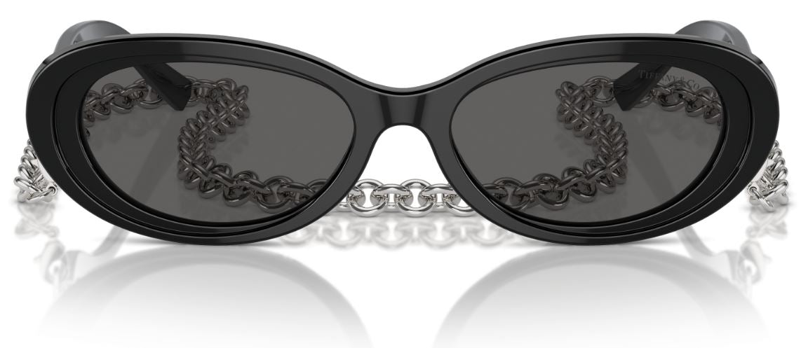 Sonnenbrille Tiffany & Co TF4221