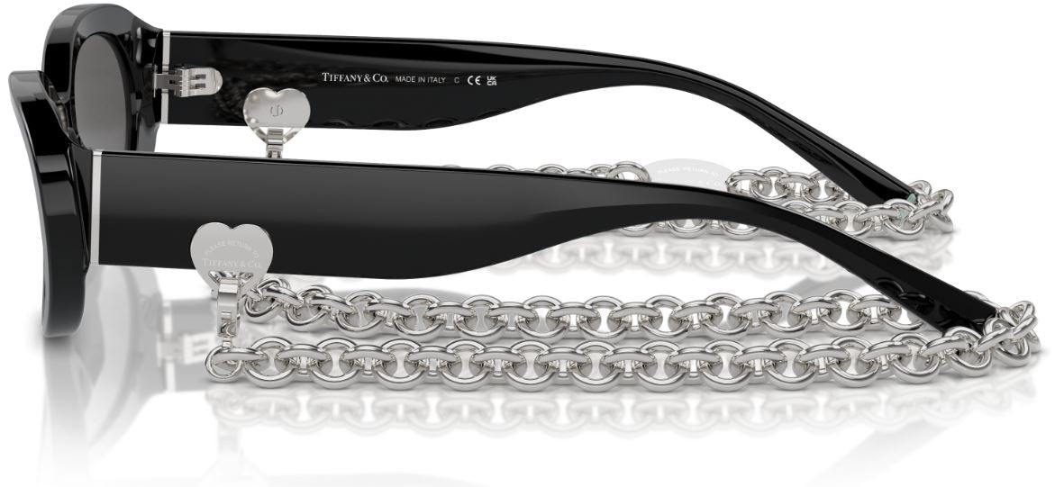 Sonnenbrille Tiffany & Co TF4221