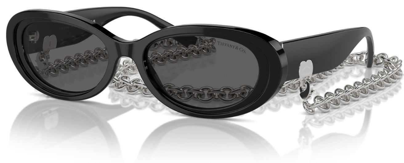 Sonnenbrille Tiffany & Co TF4221