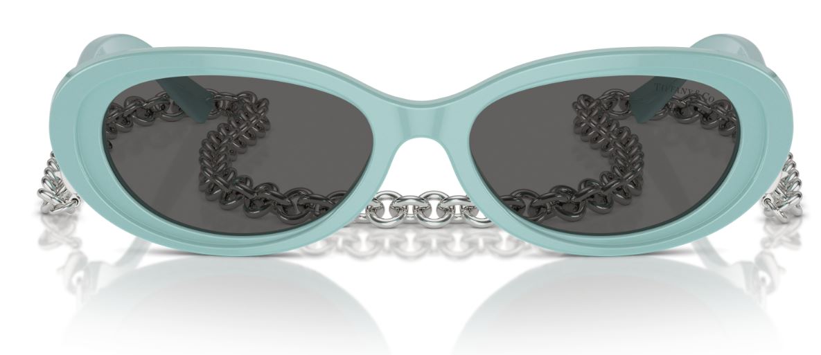 Sonnenbrille Tiffany & Co TF4221