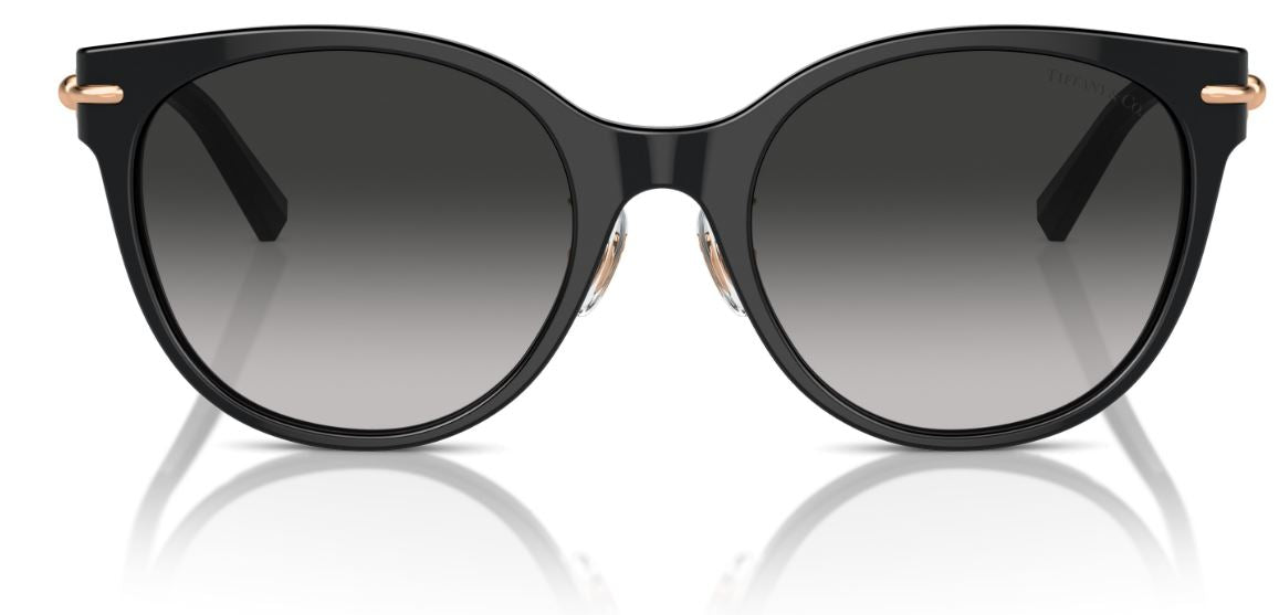 Zonnebril Tiffany & Co TF4223D