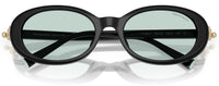Sonnenbrille Tiffany & Co TF4242D