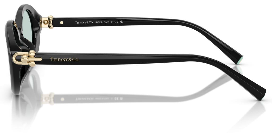 Sonnenbrille Tiffany & Co TF4242D