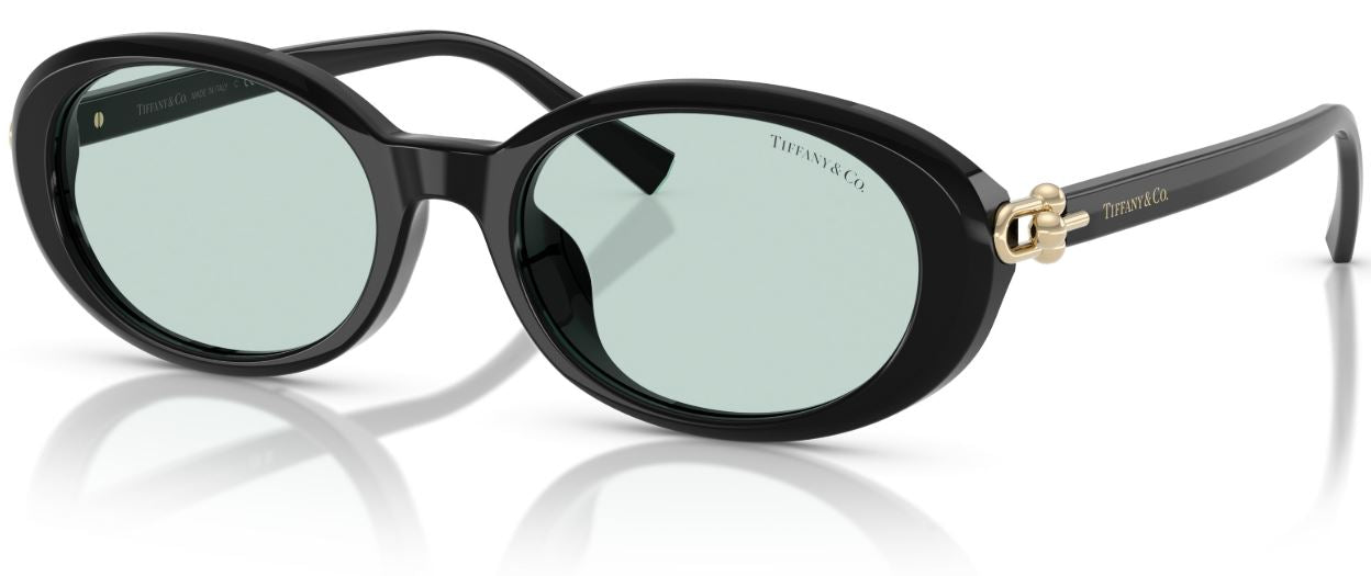 Sonnenbrille Tiffany & Co TF4242D