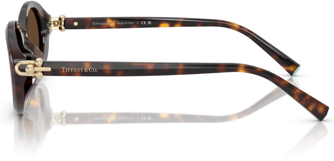 Sonnenbrille Tiffany & Co TF4242D