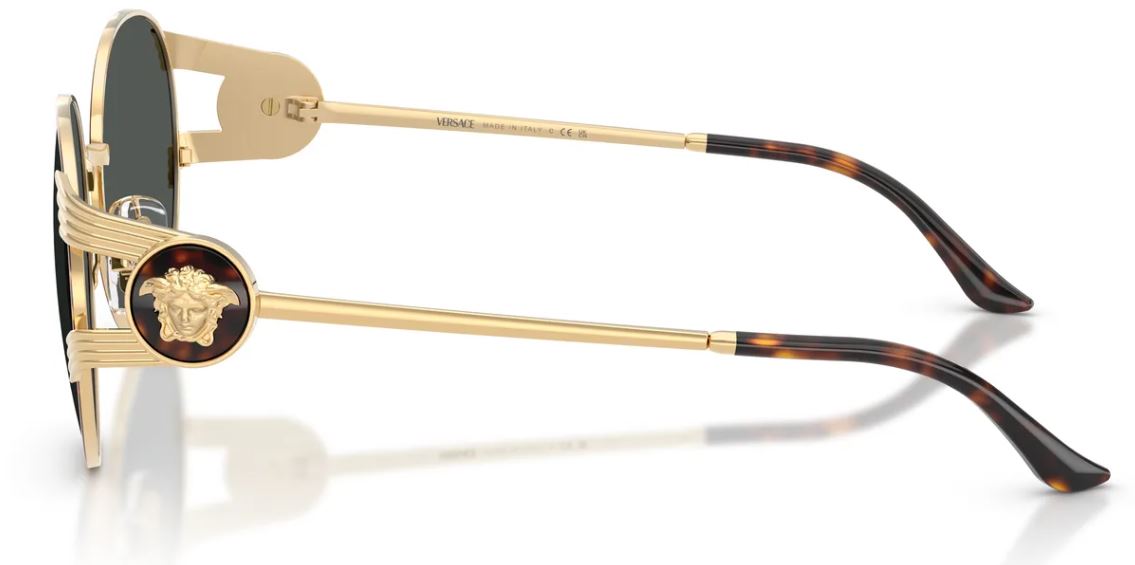 Óculos de sol Versace VE2303