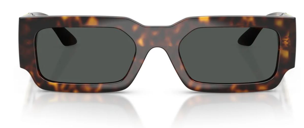 Versace VE4506U 太阳镜