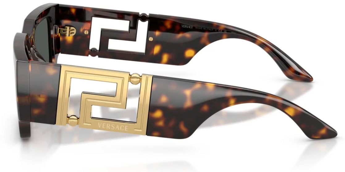 Versace VE4506U 太阳镜