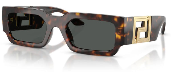 Versace VE4506U 太阳镜