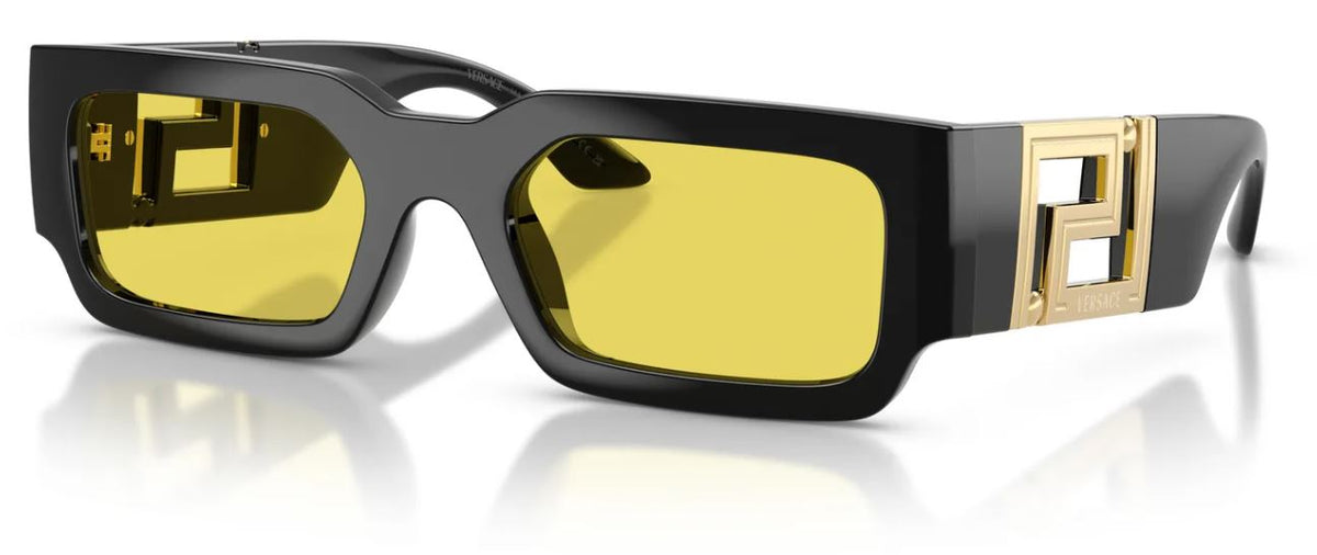 Versace VE4506U 太阳镜