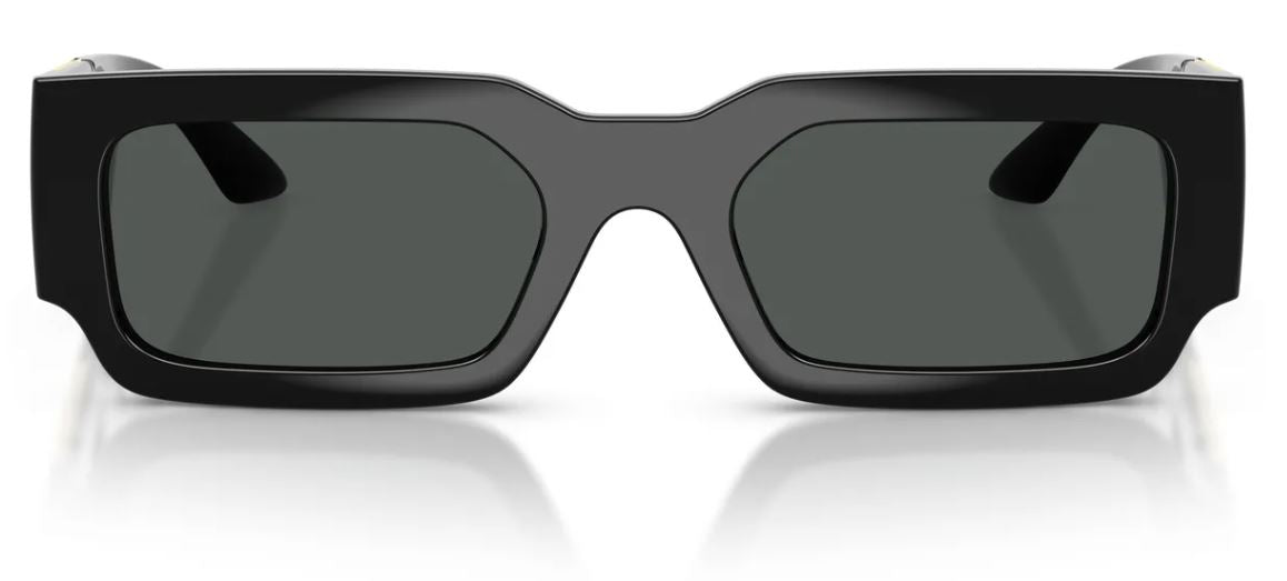 Versace VE4506U 太阳镜