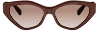 CELINE Triomphe CL40323U 太陽眼鏡