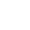 icon info