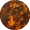 Scale (52)